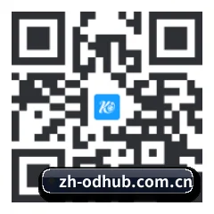 系统版 iOS 二维码
